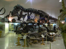 hill city museum